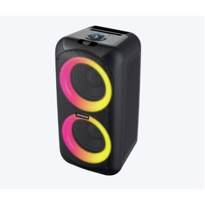 60W Rechargeable Bluetooth Party Speaker with Karaoke Microphone